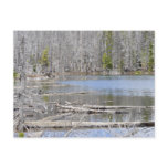 Jack Lake