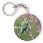 Jack London Square Hummingbird Keychains