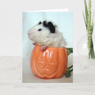 Jack-O-Lantern Guinea Pig card