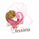 Jack of Hearts T-Shirt