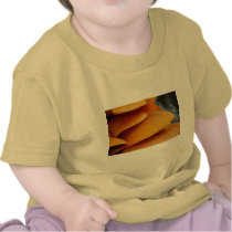Jack O'Lantern Mushrooms Tee Shirts