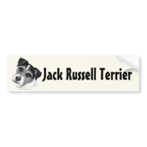 Jack (Parson) Russell Terrier Bumper Stickers