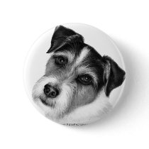 Jack (Parson) Russell Terrier Pinback Buttons