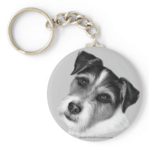 Jack (Parson) Russell Terrier Key Chains
