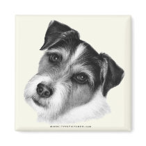 Jack (Parson) Russell Terrier Fridge Magnets
