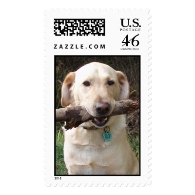 Jack Postage Stamp