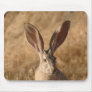Jack rabbit with large ears photo mousepad