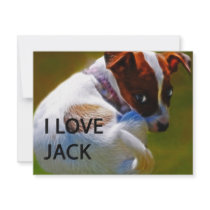 Jack Rusell Puppy invitations by laureenr Jack Rusell Puppy invitations