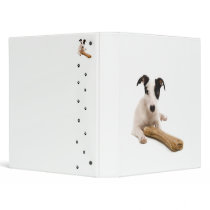 jack russel and his bones binders