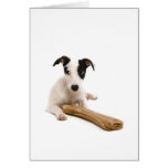jack russel and his bones greeting cards