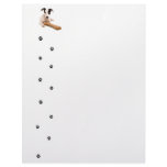 jack russel custom letterhead