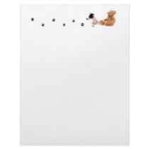 jack russel letterhead