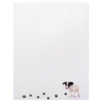 jack russel letterhead design