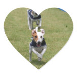 jack russel race sticker