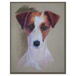 jack russell0001 flyers
