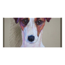 jack russell0001 photo cards by SheriSned jack russell0001 photo cards