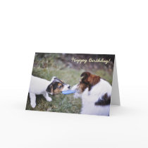 Jack Russell birthday card