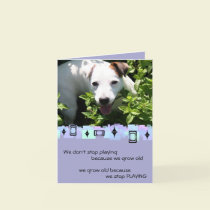 Jack Russell Birthday Greetings cards