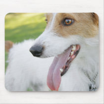 Jack Russell Dog Mousepad mousepads