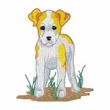 Jack Russell Polo