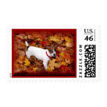 Jack Russell Fall postage