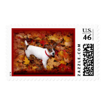 Jack Russell Fall Postage