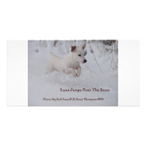 Jack-Russell-in-snow-1 Picture Card