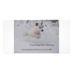 Jack-Russell-in-snow-1 photo cards