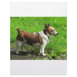 Jack Russell Letterhead Design