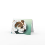 Jack Russell Mix Card