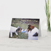Jack Russell Mother's day card card