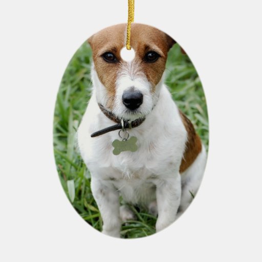 Jack Russell Ornament Zazzle