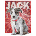 Jack Russell Pet Owner Vintage Washed t-shirts by spacedust Jack Russell Pet Owner Vintage Washed t-shirts