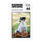 postcard - 
