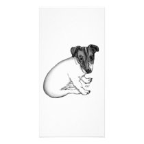 Jack Russell puppy 10 weeks old Custom Photo Card