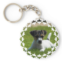 Jack Russell Puppy Keychain