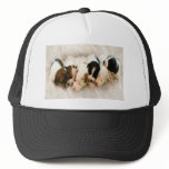 jack russell pups trucker hat jack russell pups trucker hat
