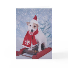 Jack Russell Santa Helper card