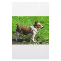 Jack Russell stationery by A_Phoenix Jack Russell stationery