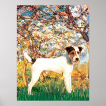 Jack Russell (T) - Spring Posters