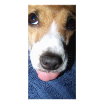 Jack Russell Terrier Bookmark Custom Photo Card