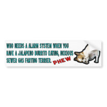 Jack Russell Terrier. bumper stickers
