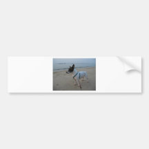 Jack Russell Terrier Bumper Sticker