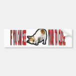Jack Russell Terrier. Bumper Sticker