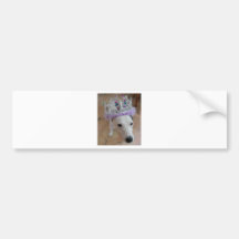 Jack Russell Terrier Bumper Sticker