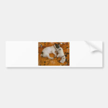 Jack Russell Terrier Bumper Sticker