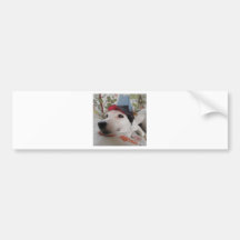 Jack Russell Terrier Bumper Sticker