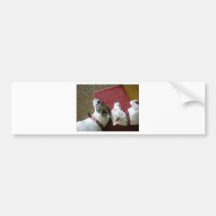 Jack Russell Terrier Bumper Sticker