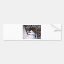 Jack Russell Terrier Bumper Sticker