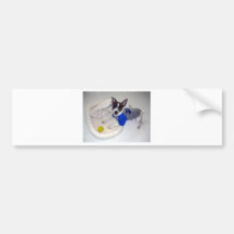 Jack Russell Terrier Bumper Stickers